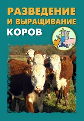 Илья Мельников - Разведение и выращивание коров