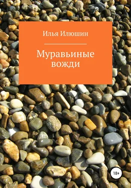 Илья Илюшин Муравьиные вожди обложка книги
