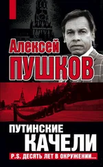 Алексей Пушков - Путинские качели. Постскриптум - Десять лет в окружении