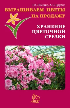 А. Бруйло Выращиваем цветы на продажу. Хранение цветочной срезки обложка книги