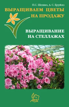 А. Бруйло Выращиваем цветы на продажу. Выращивание на стеллажах обложка книги