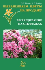 А. Бруйло - Выращиваем цветы на продажу. Выращивание на стеллажах