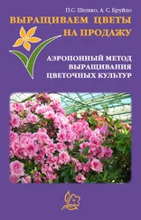 А. Бруйло - Выращиваем цветы на продажу. Аэропонный метод выращивания цветочных культур