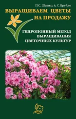 А. Бруйло - Выращиваем цветы на продажу. Гидропонный метод выращивания цветочных культур