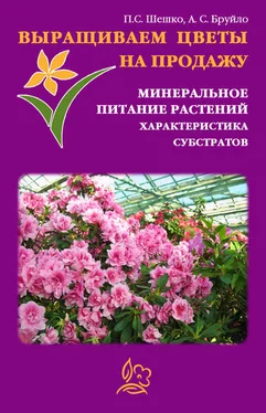 А. Бруйло Выращиваем цветы на продажу. Минеральное питание растений. Характеристика субстратов обложка книги