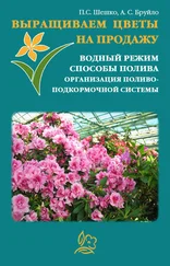 Павел Шешко - Выращиваем цветы на продажу. Водный режим. Способы полива. Организация поливо-подкормочной системы