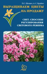 А. Бруйло - Выращиваем цветы на продажу. Свет. Способы регулирования светового режима