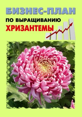 Павел Шешко Бизнес-план по выращиванию хризантемы обложка книги