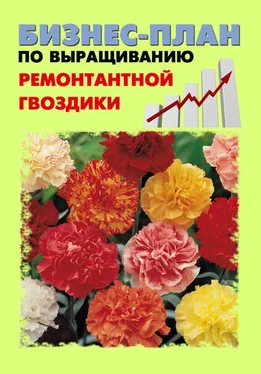 Павел Шешко Бизнес-план по выращиванию ремонтантной гвоздики обложка книги