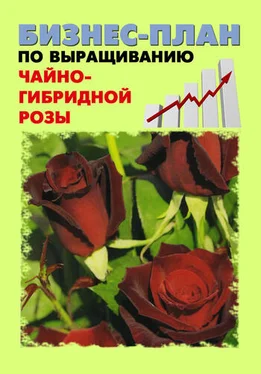 Павел Шешко Бизнес-план по выращиванию чайно-гибридной розы обложка книги
