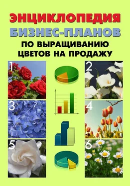 А. Бруйло Энциклопедия бизнес-планов по выращиванию цветов на продажу обложка книги