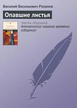 Василий Розанов Опавшие листья обложка книги
