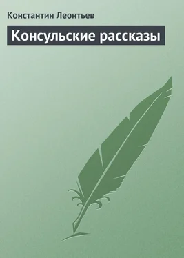 Константин Леонтьев Консульские рассказы обложка книги