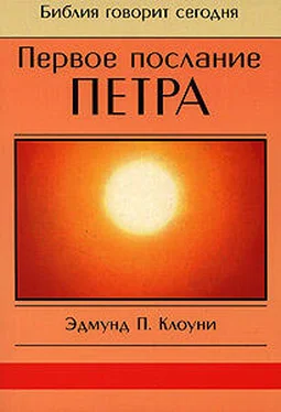 Эдмунд Клоуни Первое послание Петра обложка книги