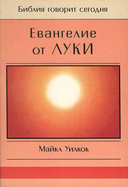 Майкл Уилкок Евангелие от Луки обложка книги