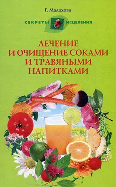 Галина Малахова Лечение и очищение соками и травяными напитками