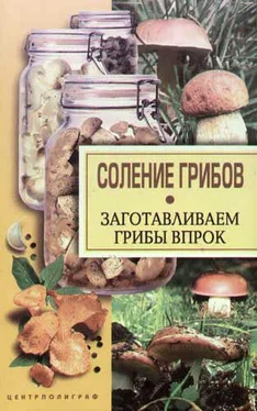 Надежда Парахина Соление грибов. Заготавливаем грибы впрок обложка книги