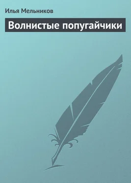 Илья Мельников Волнистые попугайчики обложка книги