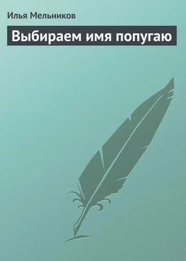 Илья Мельников Выбираем имя попугаю обложка книги