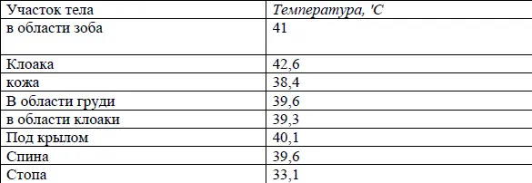 Клюв ротовая полость Для исследования в клюв осторожно вставляют деревянную - фото 1