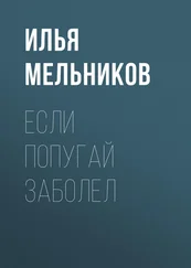 Илья Мельников - Если попугай заболел