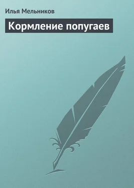 Илья Мельников Кормление попугаев обложка книги