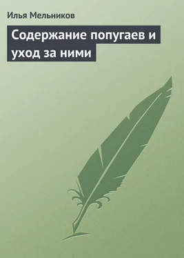 Илья Мельников Содержание попугаев и уход за ними обложка книги