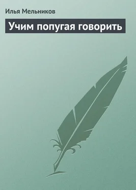 Илья Мельников Учим попугая говорить обложка книги