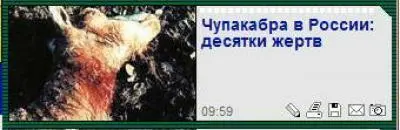 Алексей Навальный воплощение мечты блогера Юрист по образованию 34летний - фото 1