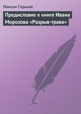 Максим Горький Предисловие к книге Ивана Морозова «Разрыв-трава» обложка книги