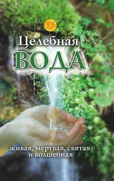 Лариса Мелик Целебная вода: живая, мертвая, святая и волшебная обложка книги