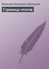 Владимир Шулятиков - Страница итогов