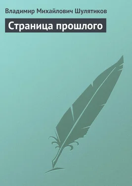 Владимир Шулятиков Страница прошлого обложка книги