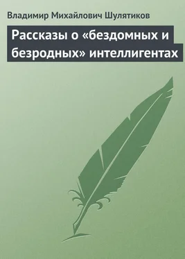 Владимир Шулятиков Рассказы о «бездомных и безродных» интеллигентах обложка книги