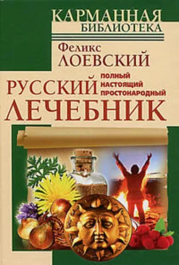 Феликс Лоевский Полный настоящий простонародный русский лечебник обложка книги