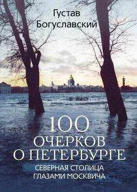 Густав Богуславский 100 очерков о Петербурге. Северная столица глазами москвича обложка книги