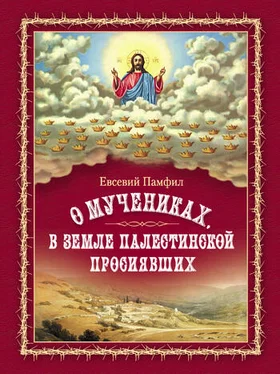 Евсевий Памфил О мучениках, в земле Палестинской просиявших обложка книги