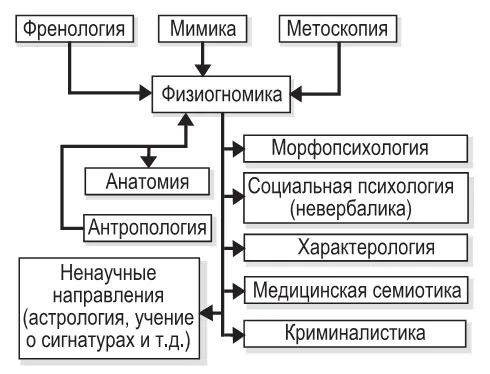 Древние персы отбирали наиболее достойного претендента на престол по размерам и - фото 1
