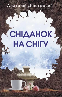 Анатолій Дністровий Сніданок на снігу обложка книги