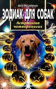 Лиз Тресилиан Зодиак для собак. Астрология четвероногих обложка книги