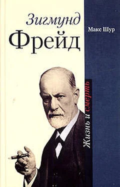 Макс Шур Зигмунд Фрейд. Жизнь и смерть обложка книги