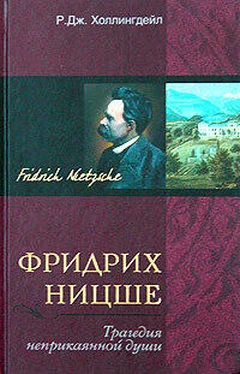 Р. Холлингдейл Фридрих Ницше. Трагедия неприкаянной души обложка книги