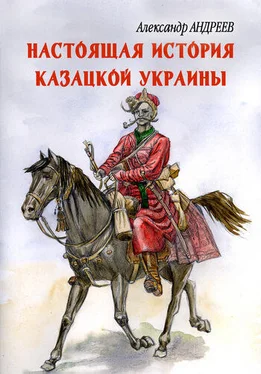 Максим Андреев Настоящая история казацкой Украины обложка книги