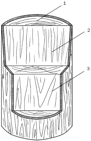 Рис 1 Основные плоскости ствола дерева 1 торцевая 2 радиальная 3 - фото 1