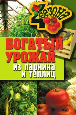 Надежда Севостьянова Богатый урожай из парника и теплиц обложка книги