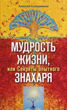 Алексей Калашников Мудрость жизни, или Секреты опытного знахаря обложка книги