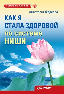 Анастасия Фадеева Как я стала здоровой по системе Ниши обложка книги