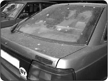 Рис 16Птичья неожиданность Мытье автомобиля при температуре ниже 0 C - фото 6