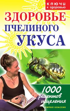 Галина Гальперина Здоровье пчелиного укуса обложка книги