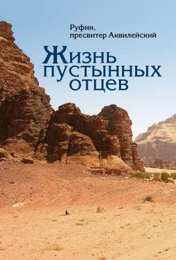 Руфин Аквилейский Жизнь пустынных отцев обложка книги